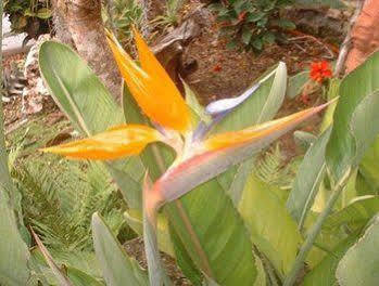 Baldwin'S Guest House Cozumel Exterior foto